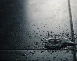 The Pros and Cons of Resilient Base Flooring